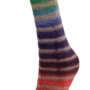 Arcobaleno col 20